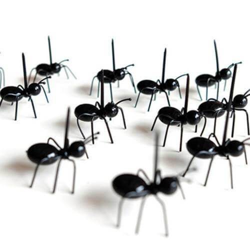 12Pcs Ants Food Fruit Holder - MaviGadget
